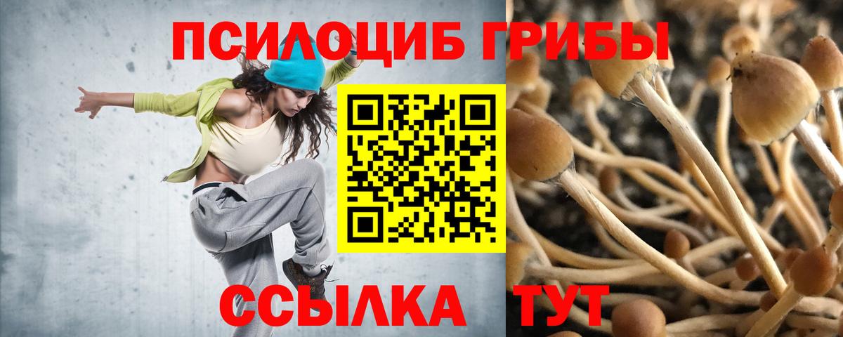 где купить   Вход с VPN  Трёхгорный  Псилоцибиновые грибы Psilocybine cubensis 